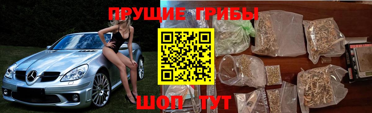 купить наркотики цена  Вход с VPN  Бор  Галлюциногенные грибы Magic Shrooms  Галлюциногенные грибы Psilocybine cubensis 