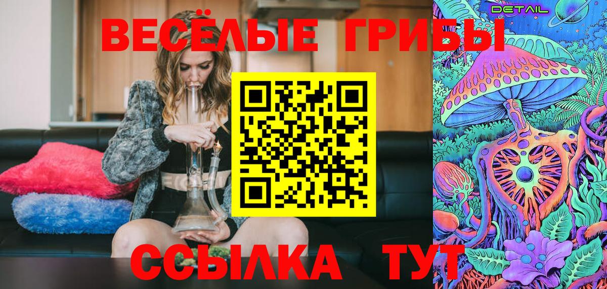 Псилоцибиновые грибы Cubensis Бор
